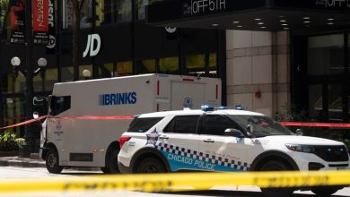 Suburban Man Accused of Robbing Brinks Guard in Loop – ryan