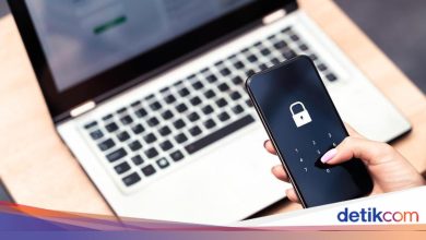 How to register and check the status of social assistance on the Selinsos portal