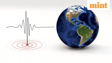 Earthquake Today: 4.3 Makery of the size of the Bay in California