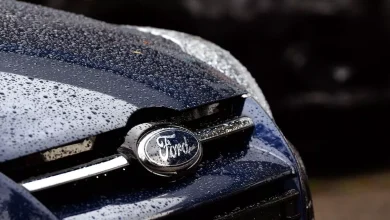 ford-followers-baffled-after-greatest-accurate-noticing-‘irregular-detail’-about-car-label’s-label