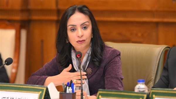 بشراكة 20 جهة حكومية .. التضامن تعلن إلاق المنظومة المالية الاستيجية للتمكين الاقتصادين – ryan