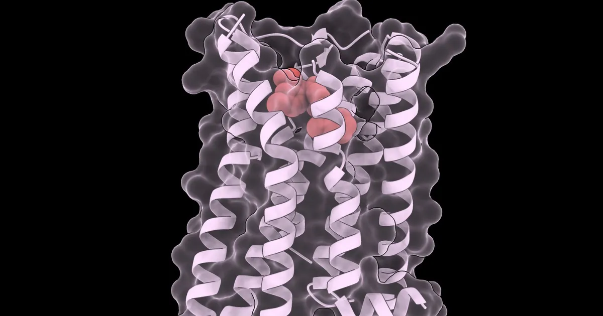 Researchers achieve the possibility of developing a ‘comprehensive remedy’ to treat all rare diseases