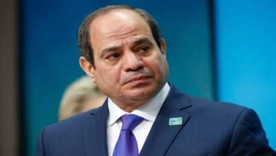 لماذا أفرج السيسي عن علاء عبد الفتاح؟