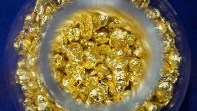 The price of gold records a new record with betting on the interest reduction cycle