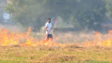Haryana will be free of burning stubble by 2030