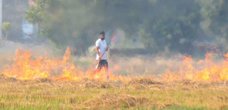 Haryana will be free of burning stubble by 2030
