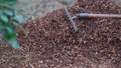 ‘blooming-genius’-mulching-hack-is-supreme-for-gardeners-with-a-foul-help