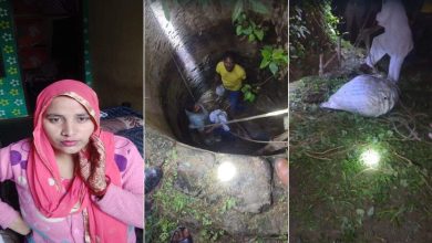 Mix in milk and sleeping pill and … on the 10th day of marriage, the predatory bride escaped with jewels and cash