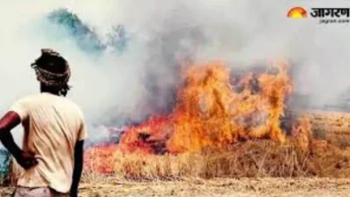 Punjab News: Fir on 20 farmers burning stubble, a fine of 1.5 lakh and 16 red access – Spar against 20 farmers for burning stubble of Rs 1 lakh and 50 thowand and 16 red entries