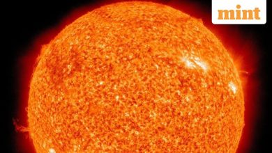 The latest discovery indicates that sunflames are warmer than earlier estimates; Here’s why