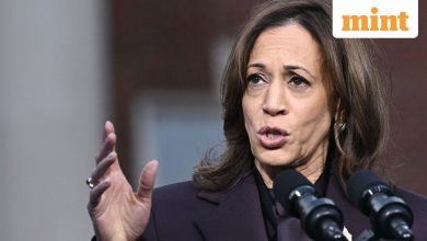 Kamala Harris criticizes CEOs for not acting as a democratic handrail against Trump: ‘Feckless’ … one by one … quiet’