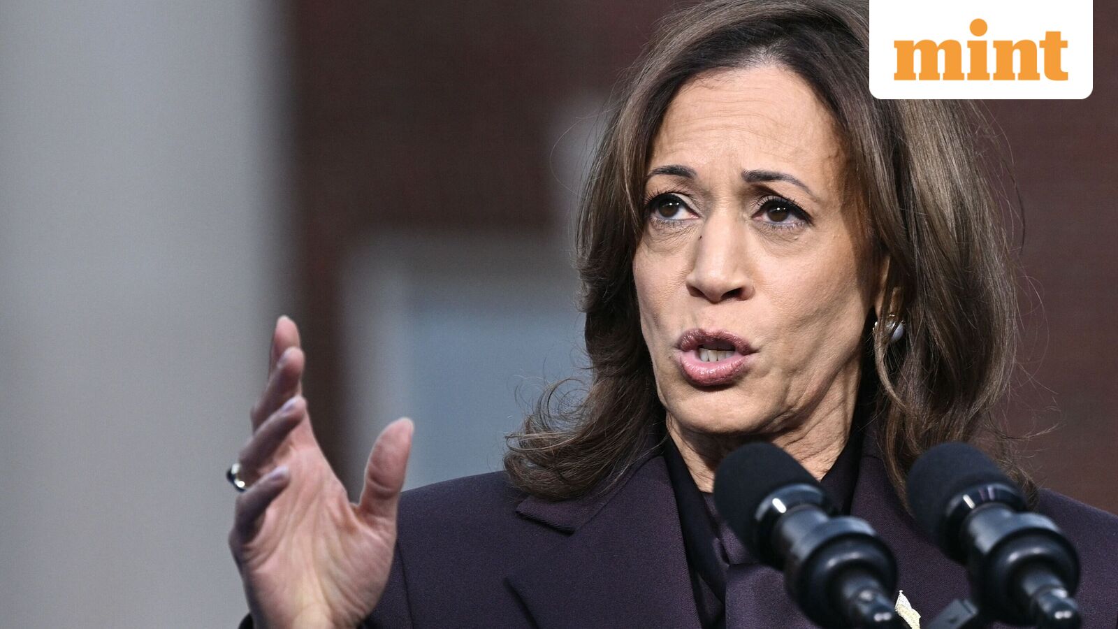 Kamala Harris criticizes CEOs for not acting as a democratic handrail against Trump: ‘Feckless’ … one by one … quiet’