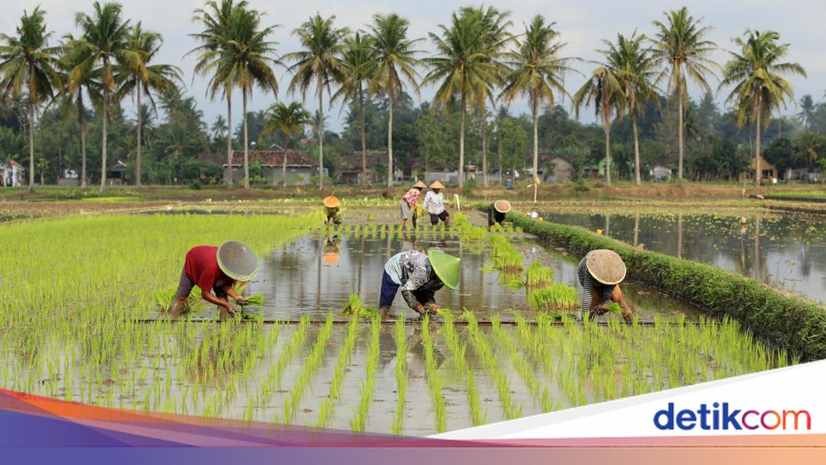 National Farmers Day September 24: History and how to celebrate it
