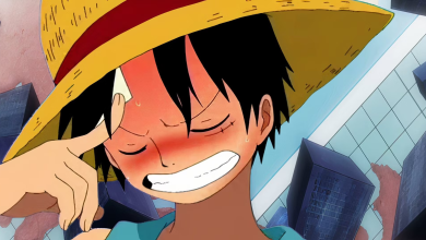 Some of One Piece’s Best Parts Are Leaving Netflix – ryan
