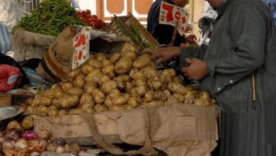 أسعار-الخراوات-اليوم-الثلاثاء-|-الحق-والضلال