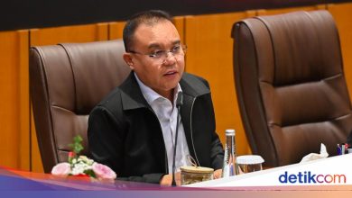 Dasco reveals points review of the Bumn Act: duplicate positions