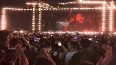 أمير يشعل حماس الجمهور بحفل “كايروكي” في العلمين الجديدة بأغنية – ryan