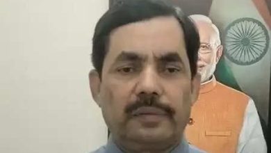 The meeting of the Congressional Working Committee only event, nothing will happen to this: Shahnawaz Hussain