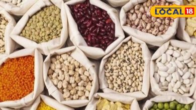Chandauli News: Gram-Masur Seeds FREE! Good news for Chandauli farmers, apply by September 25, the process has begun