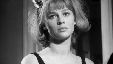 darling-overview-–-julie-christie’s-romantic-satire-of-swinging-60s-has-a-terrific-punch