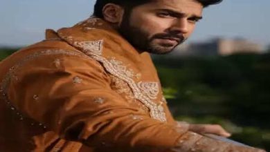 Varun Dhawan’s film promotion in Hot Avatar, Indian Atar photos shared on Instagram