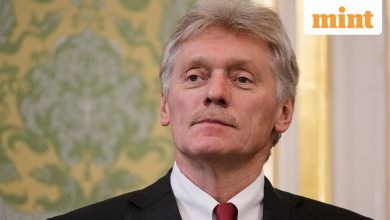 Kremlin rejects Trump’s’ Paper Tiger ‘, claiming’ paper bears do not exist. Russia is a real bear ‘