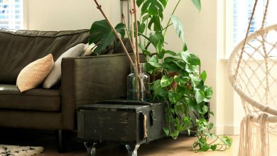 Decorate your living room like this with plants!