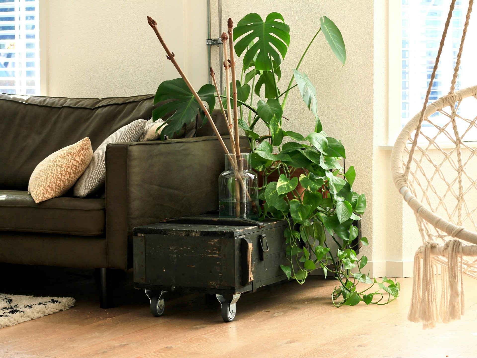 Decorate your living room like this with plants!