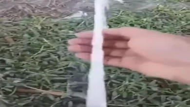 مفاجأة غريبة .. مياه بيضاء كاللبن تتدفق في منازل مدينة عربية (فيديو) – ryan