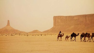 Why should the country in the desert ask sand from abroad? Shocking truth, you’ll be stunned too