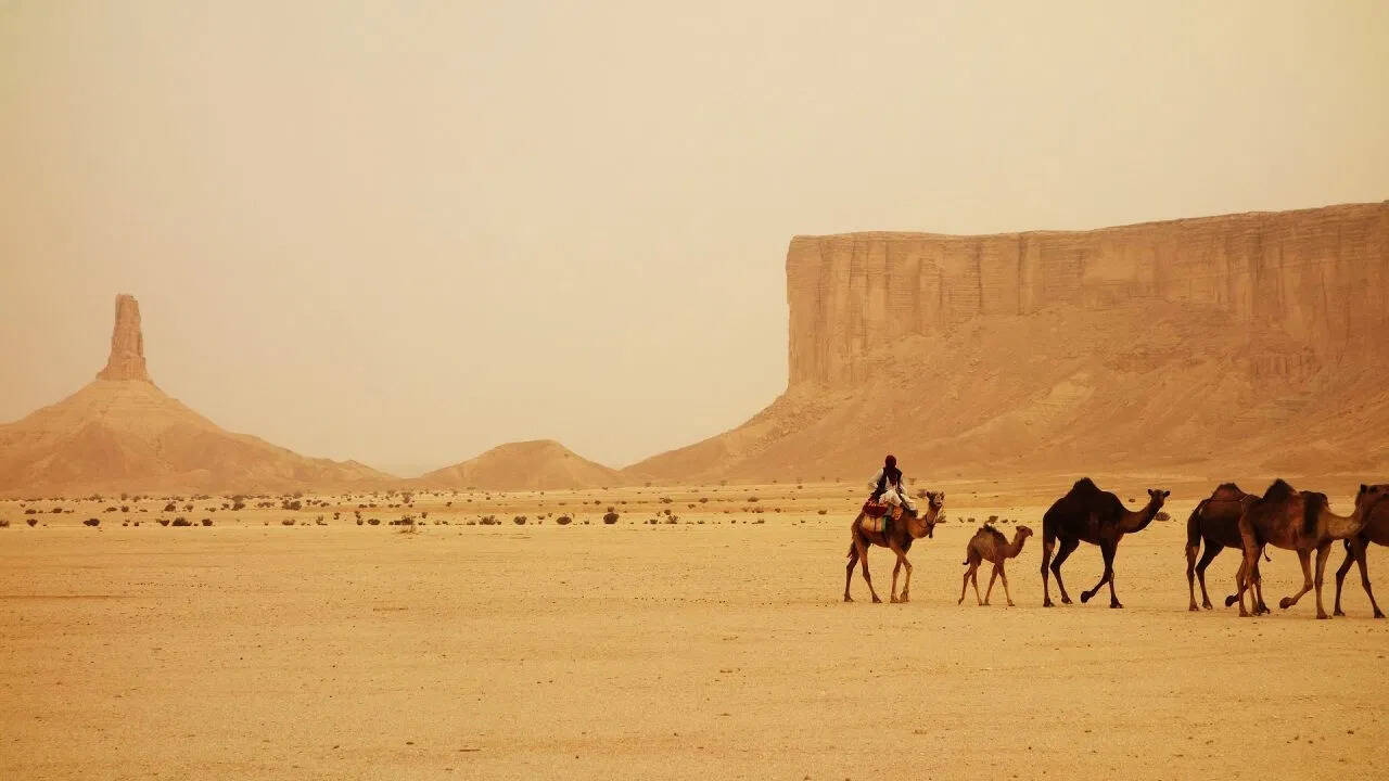 Why should the country in the desert ask sand from abroad? Shocking truth, you’ll be stunned too