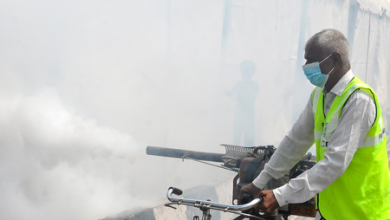 New malaria monoclonal antibody safe, immune response better