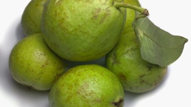 How can you identify sweet and juicy guava?