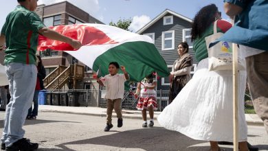 Immigrant Population Reaches its Highest Point in Nearly Two Decades – ryan