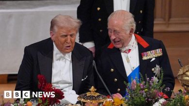 following-uk-seek-recommendation-from,-trump-plass-to-invite-king-charles-to-us