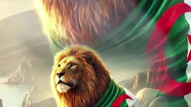 نظراته-تروي-الهيبة-،-خواته-تكتب-الكبرياء-،-وحضوره-يصنع-المجد.-كما-الأسد-لا-ينحني-…
