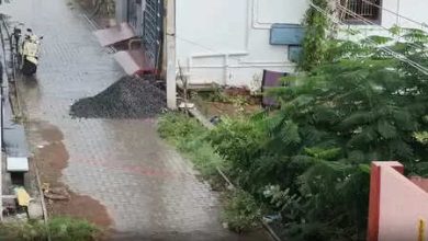 Tamil Nadu: Relief as a result of heavy rain in Thai, weakening at bus