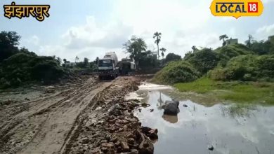 People will find work because of a green industrial zone in Madhubani, the business stopped in the area due to the closure of Paper Mill