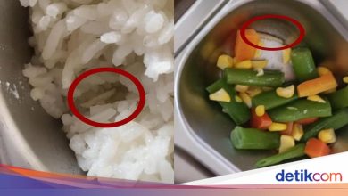 Splashy there is a caterpillar in the MBG Jambi MBG menu, says the principal
