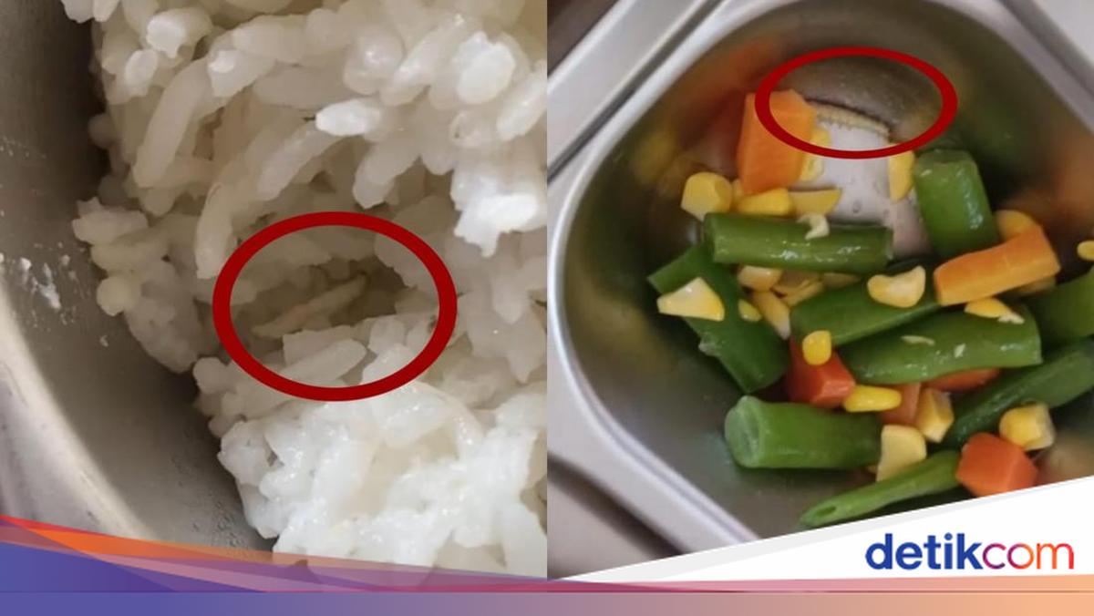 Splashy there is a caterpillar in the MBG Jambi MBG menu, says the principal