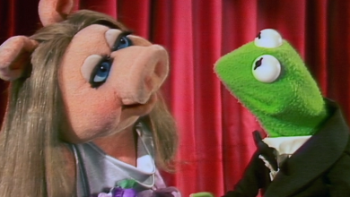 ‘the-muppet-suppose’-2026-special:-every-thing-we-know