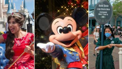 straight-forward-solutions-to-receive-a-nonb-at-disney-world-in-2025,-accity-to-a-recruiter