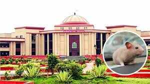 The Supreme Court expressed the profound concern about the dilapidated roads of Rajasthan, “Life is in danger”