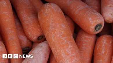 FOOD PRICES ‘COULD DIFFER’ BETWEEN ISLANDS BECAUS OF FERRY COSTS – ryan