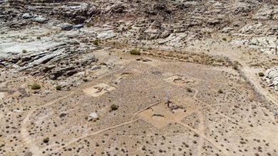 أقدم مستوطنة معمارية بالجزيرة العربية اكتشاف سعودي مدهش في شمال تبوك يعود تاريخه لأكثر من 11…