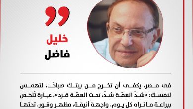 خليل فاضل يكتب: «شِدّ العِمّة شِدّ.. تحت العِمّة قرد».. فوضى الشارع المصري