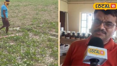 Tips and Trick: A photo of the farm will be changed in spending 50 rupees, fertilizer, bumper will be yielded