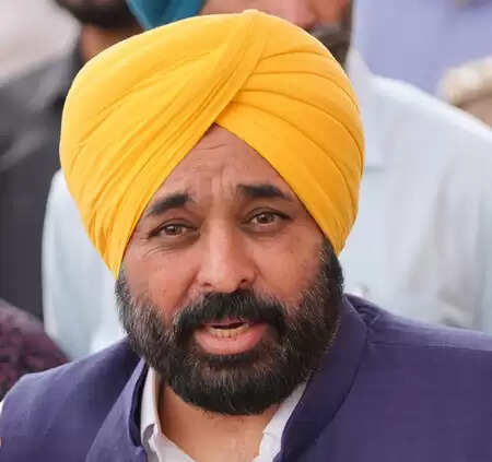 CM Bhagwant Mann gave full information about the flood in the house, Rahul Gandhi took a digging on hand
