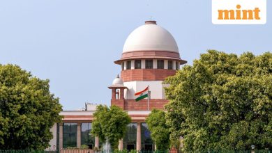 “We are now more like a marriage and bail court, will soon become …”: Supreme Court