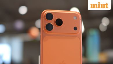 Influencer Mahai Singh Share QR Code, Seek Small Donations To Buy iPhone 17 Pro Max: ‘Aaplog I-Equip, Do-Do Rupiye …’